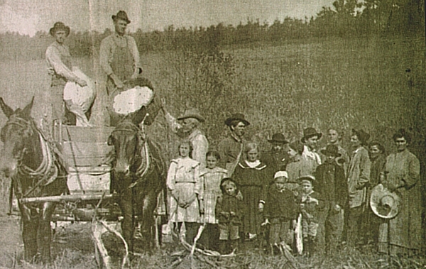 Cotton pickers of Marion, Arkansas