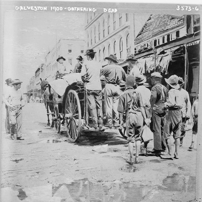 Galveston 1900 - gathering dead