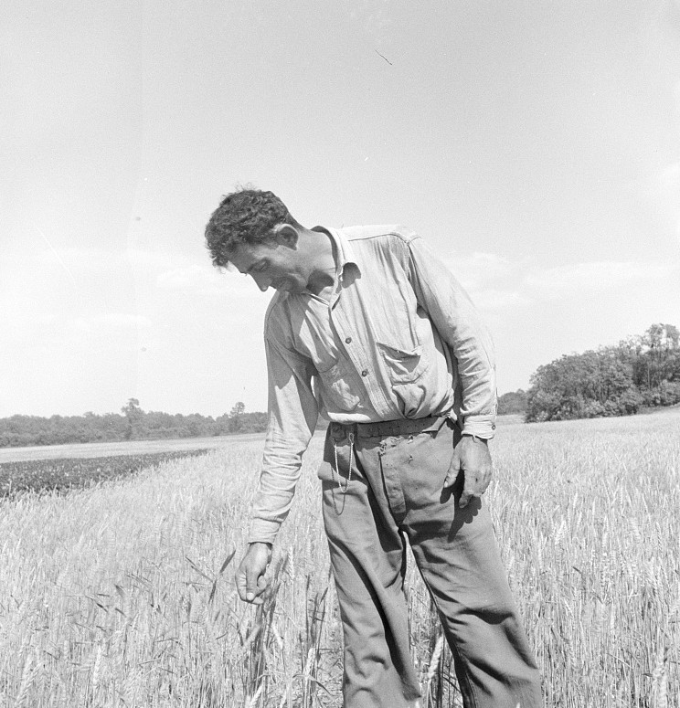 Hightstown, New Jersey. Member of the farming group on the project. Polish-Jewish born, served in the American Army, World War june 1936 lange