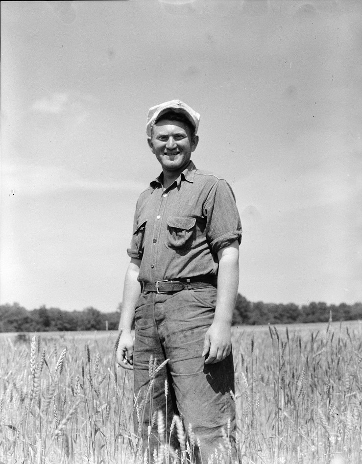 Homesteader, farmer, who has been working on the community farm since 1934. Hightstown, New Jersey june 1936 dorothea lange