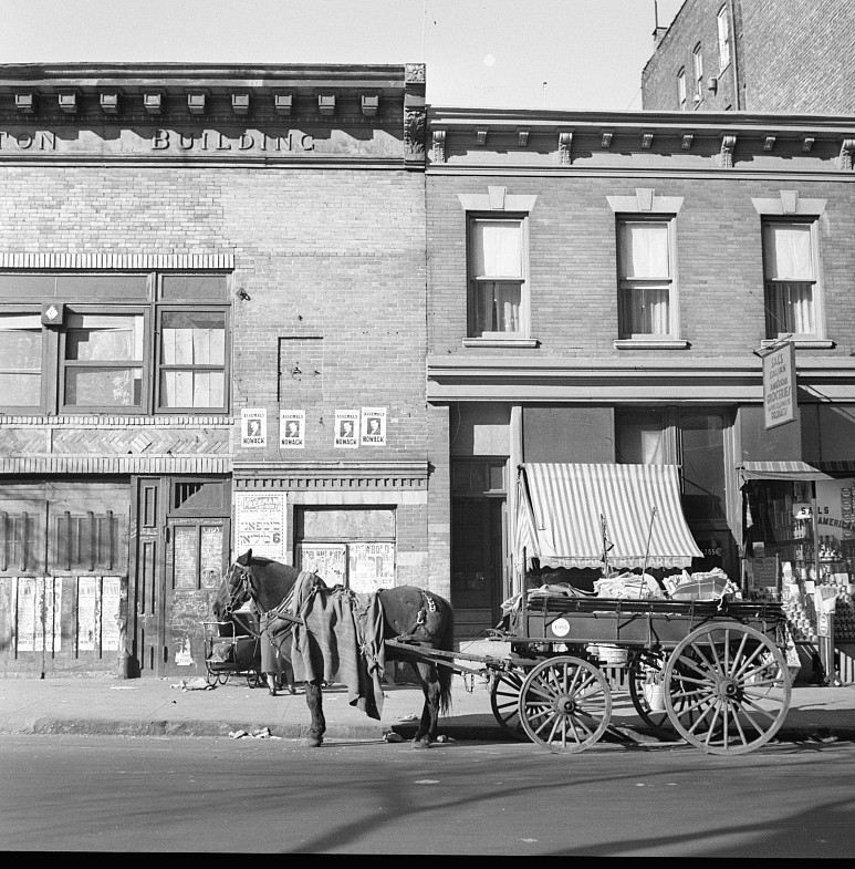 bronx tenament where homesteaders came from dec. 1936 rothstein