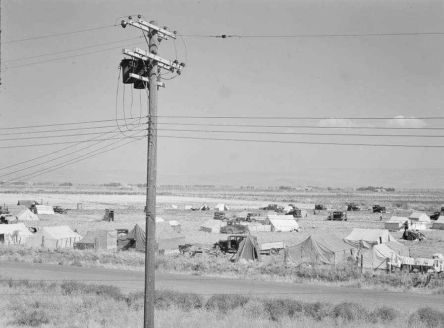 living condition of camp from packing shed