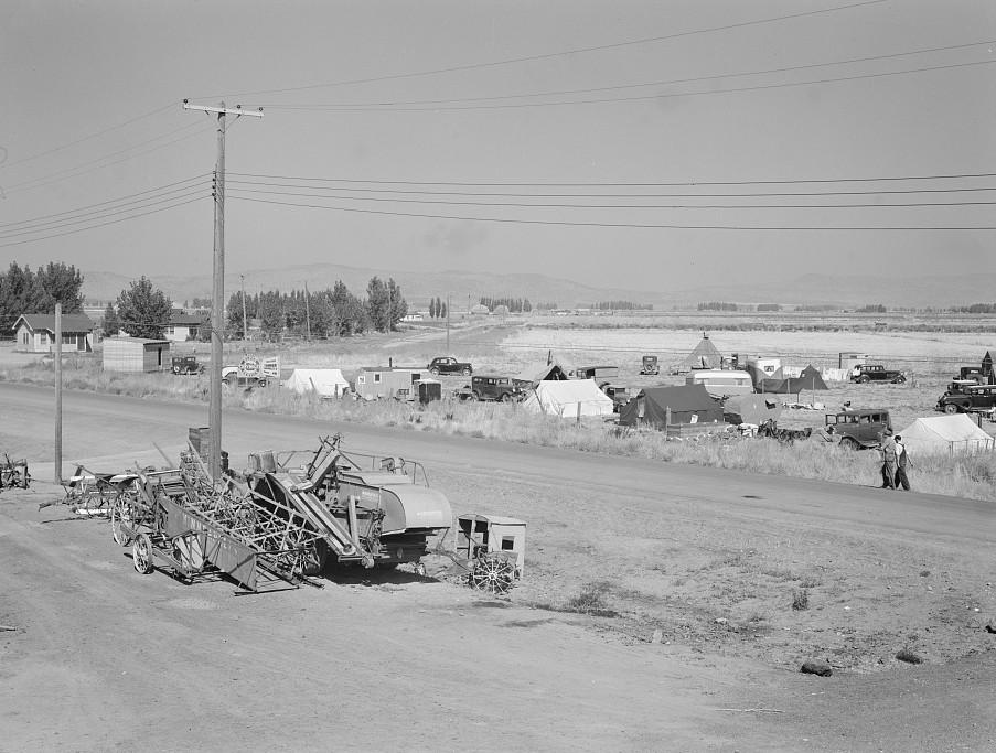 living condition potato sheds6