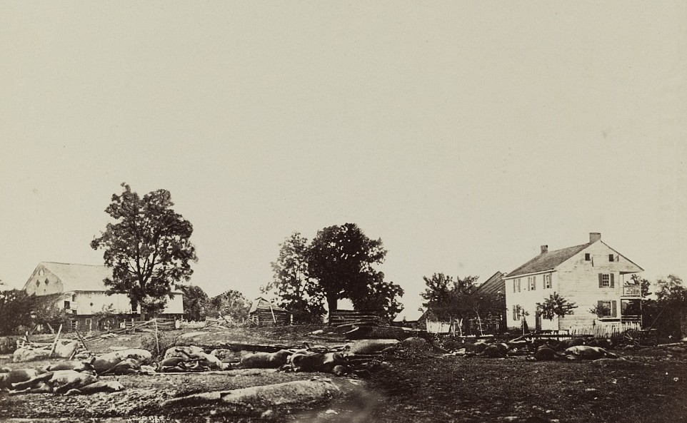 The battle-field of Gettysburg. Dead horses of Bigelows (9th Massachusetts) Battery