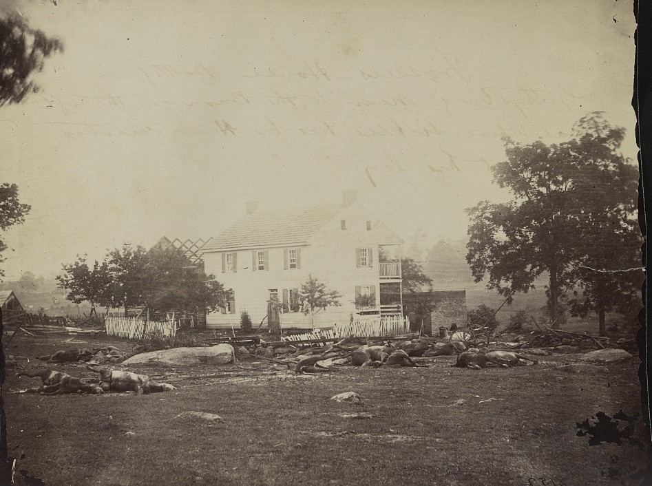 Trossels house 1863 - dead horses
