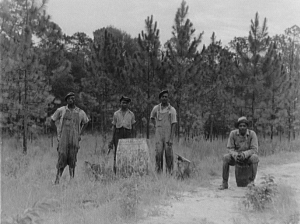 3Georgia Turpentine still July 1937 by Dorothea Lange