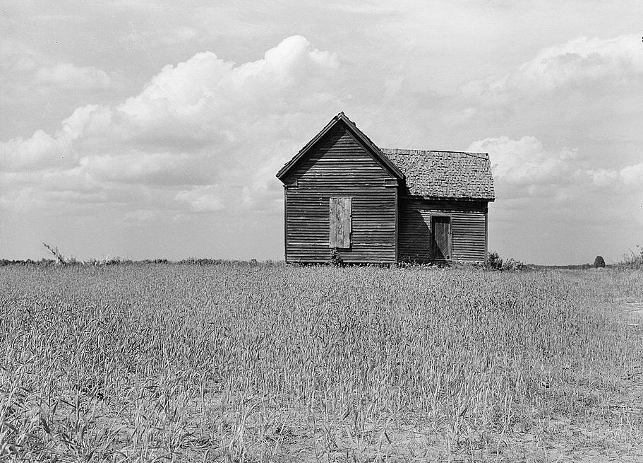Old deserted shack, tenant house, in grain field. Greene County, Georgia