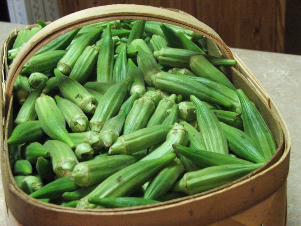 basket of okra