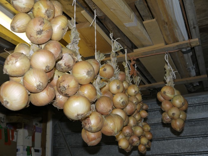 onions-in-garage