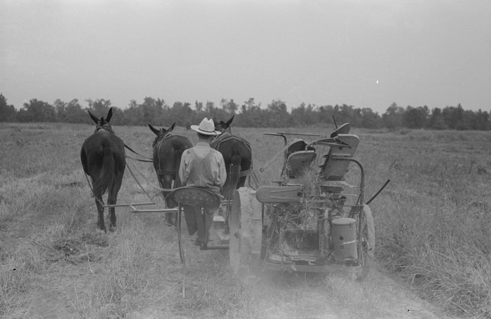 Cutting Hay, Lake Dick Project, Arkansas