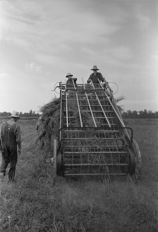 Hay loading machine in operation, Lake Dick Project, Arkansas