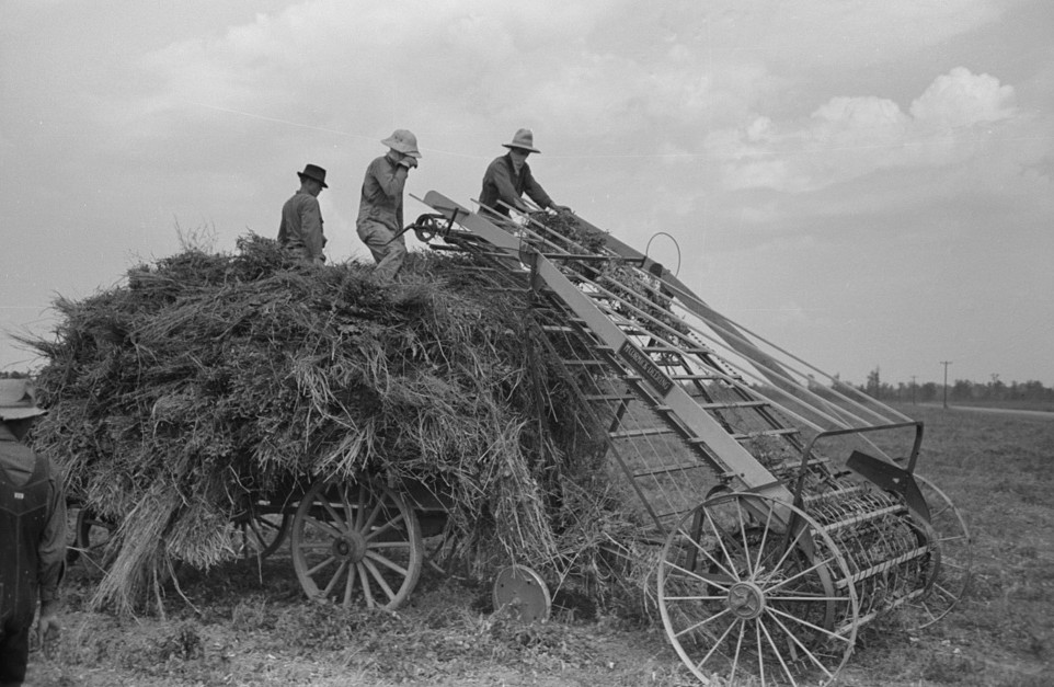 Loading machine attached to hay wagon, Lake Dick Project, Arkansas