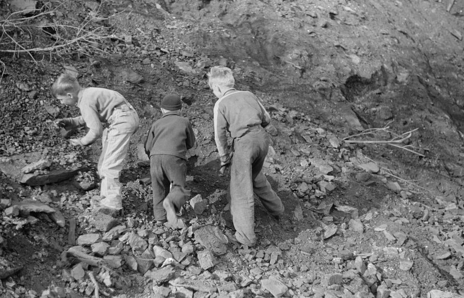 Miner's sons getting coal from the slag pile during May 1939 coal strike. Kempton, West Virginia
