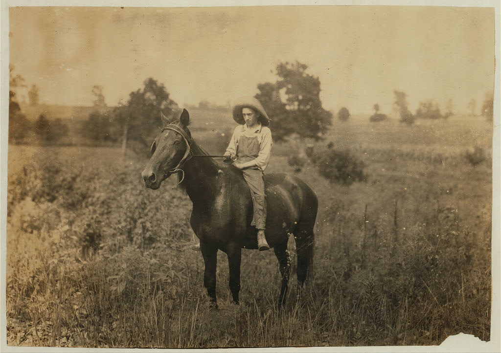 Bush driving horse home 1916 Location Clark Co., Winchester, Kentucky  Lewis W. Hine.