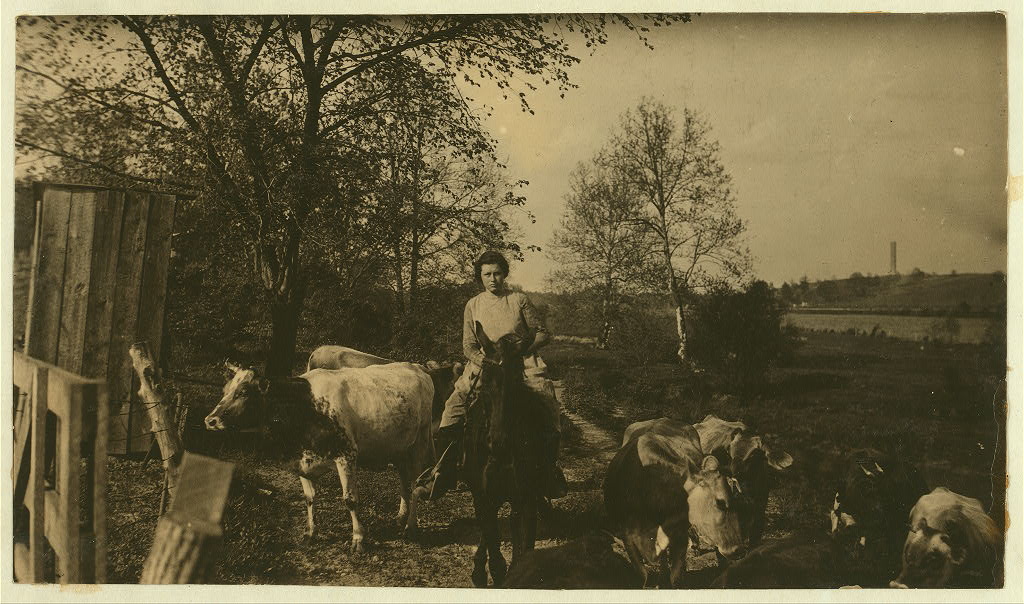 Calvin Humphrey family, Elizabethtown, Kentucky 1916 by photographer Lewis Wickes Hine9