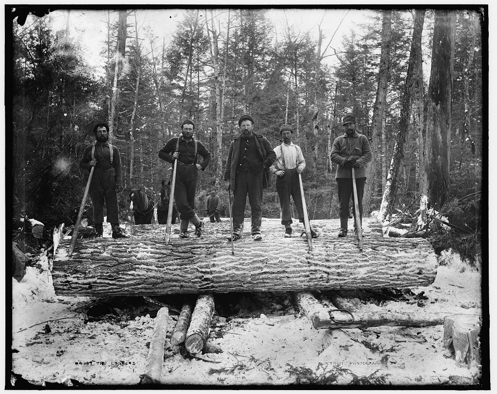 Loggers 1888 Michigan