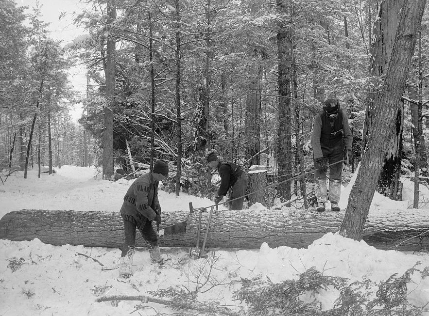 Logging, cutting lengths ca. 1890 Detroit Publishing