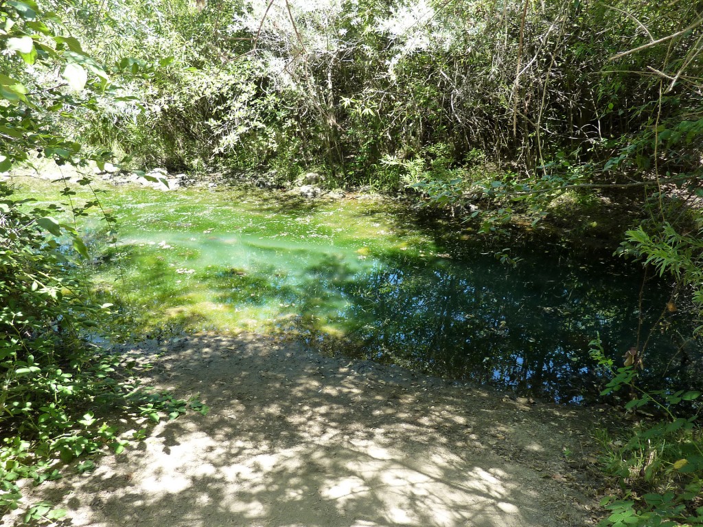 The actual spot where gold was discovered in California