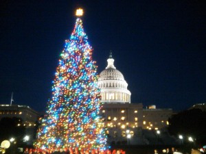 Christmas-Tree-History-4